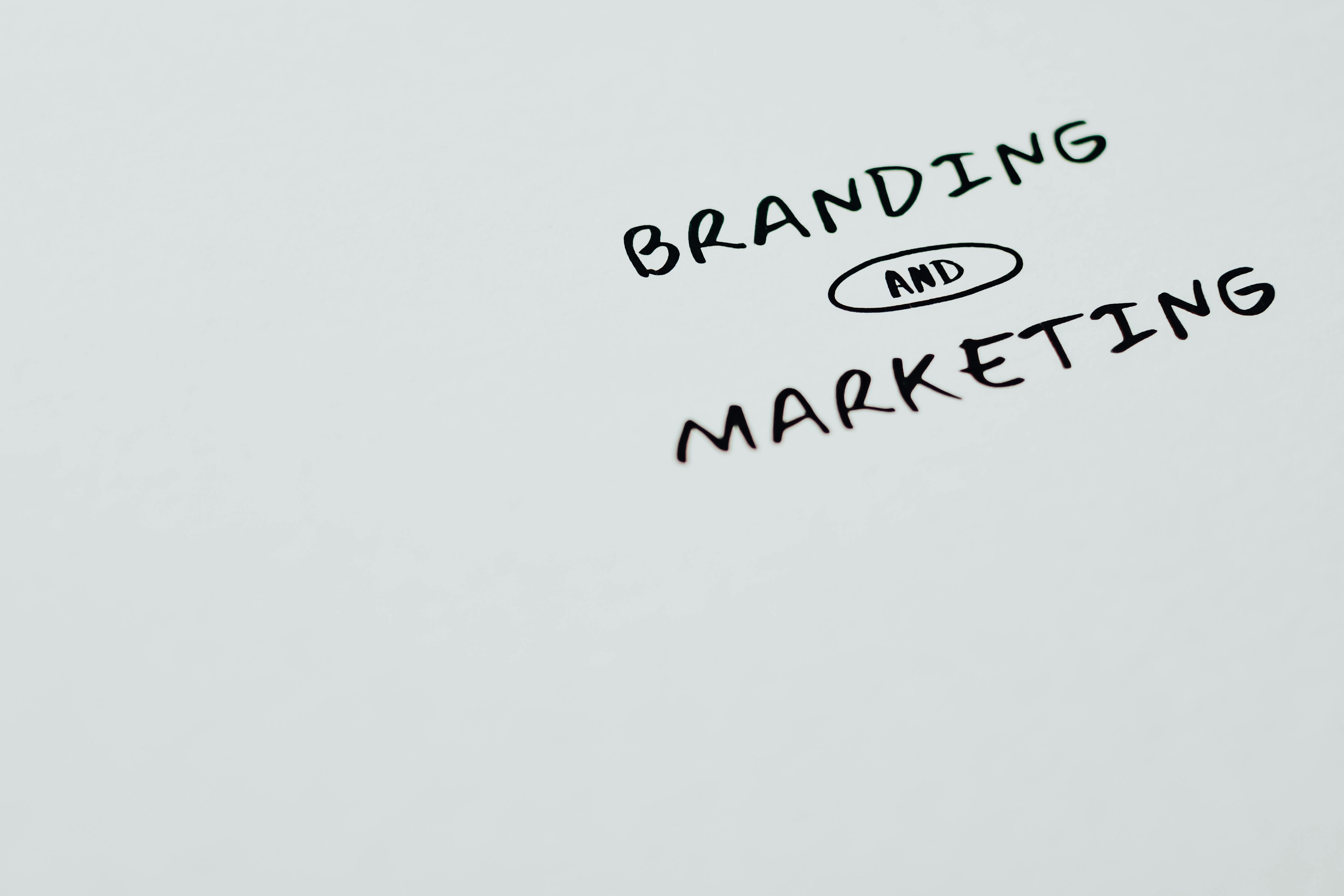 Brand Development